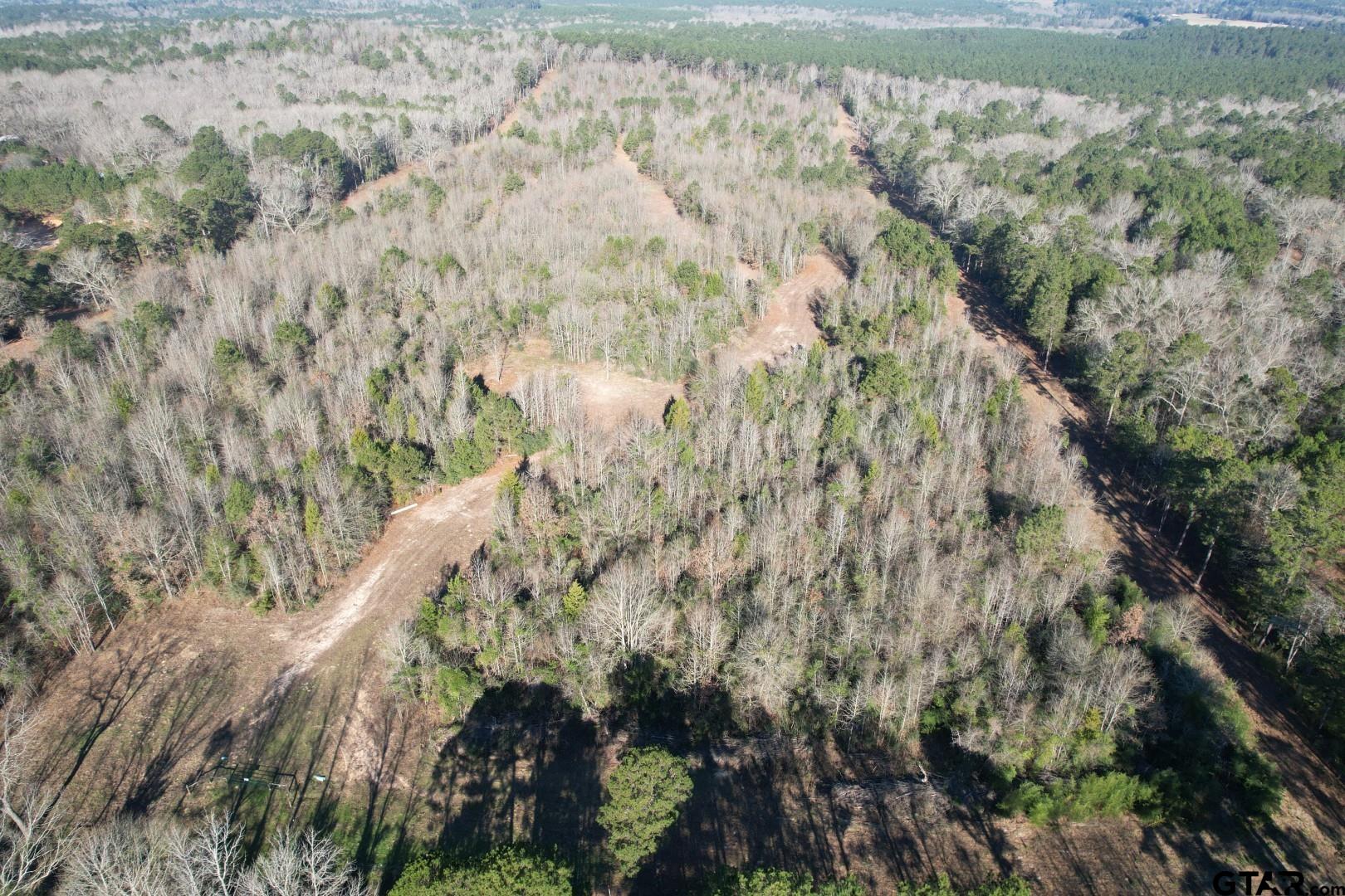 4919 County Road 4919 Timpson, TX 75975 - Photo 3 of 7 a view of a yard with a tree