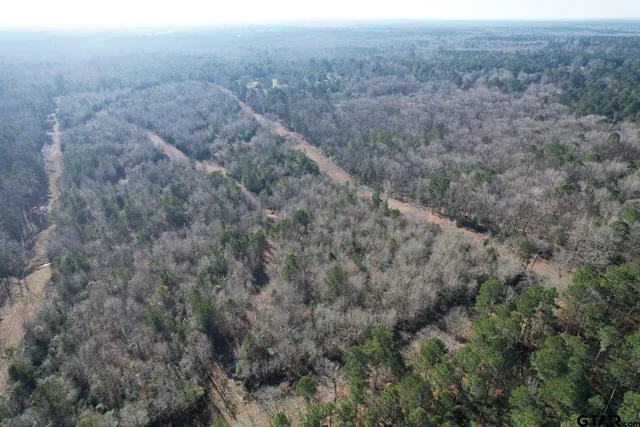 a view of a dry yard