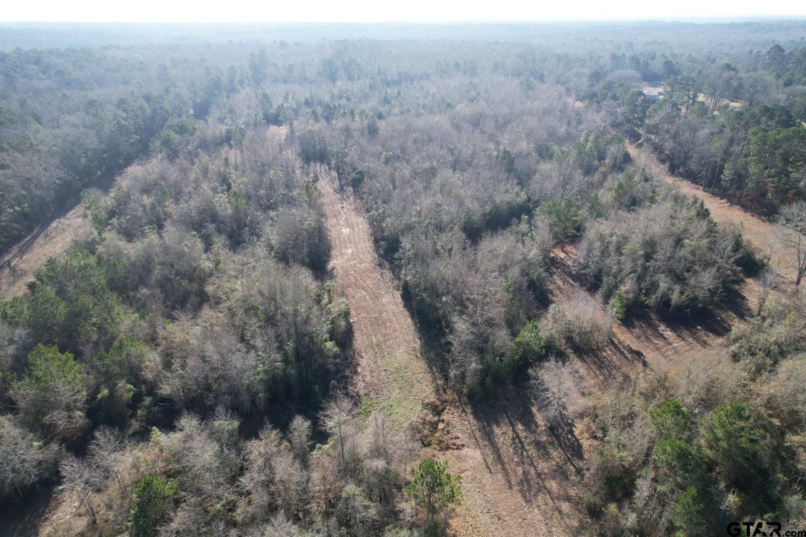 4919 County Road 4919 Timpson, TX 75975 - Photo 5 of 7 a view of a dry yard
