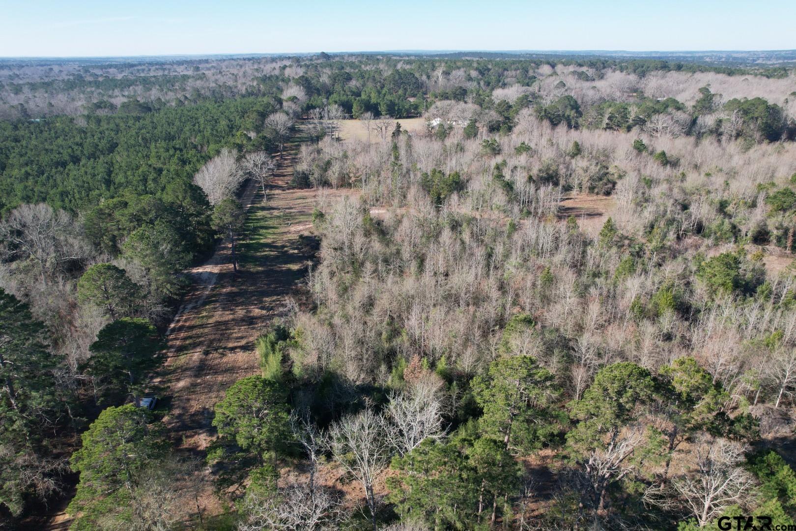 4919 County Road 4919 Timpson, TX 75975 - Photo 6 of 7 a view of a green field