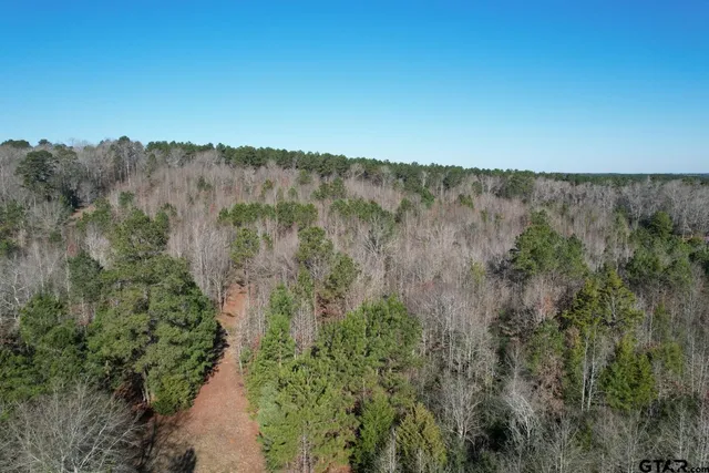 $254,562 | 4919 County Road 4919, Timpson, TX 75975