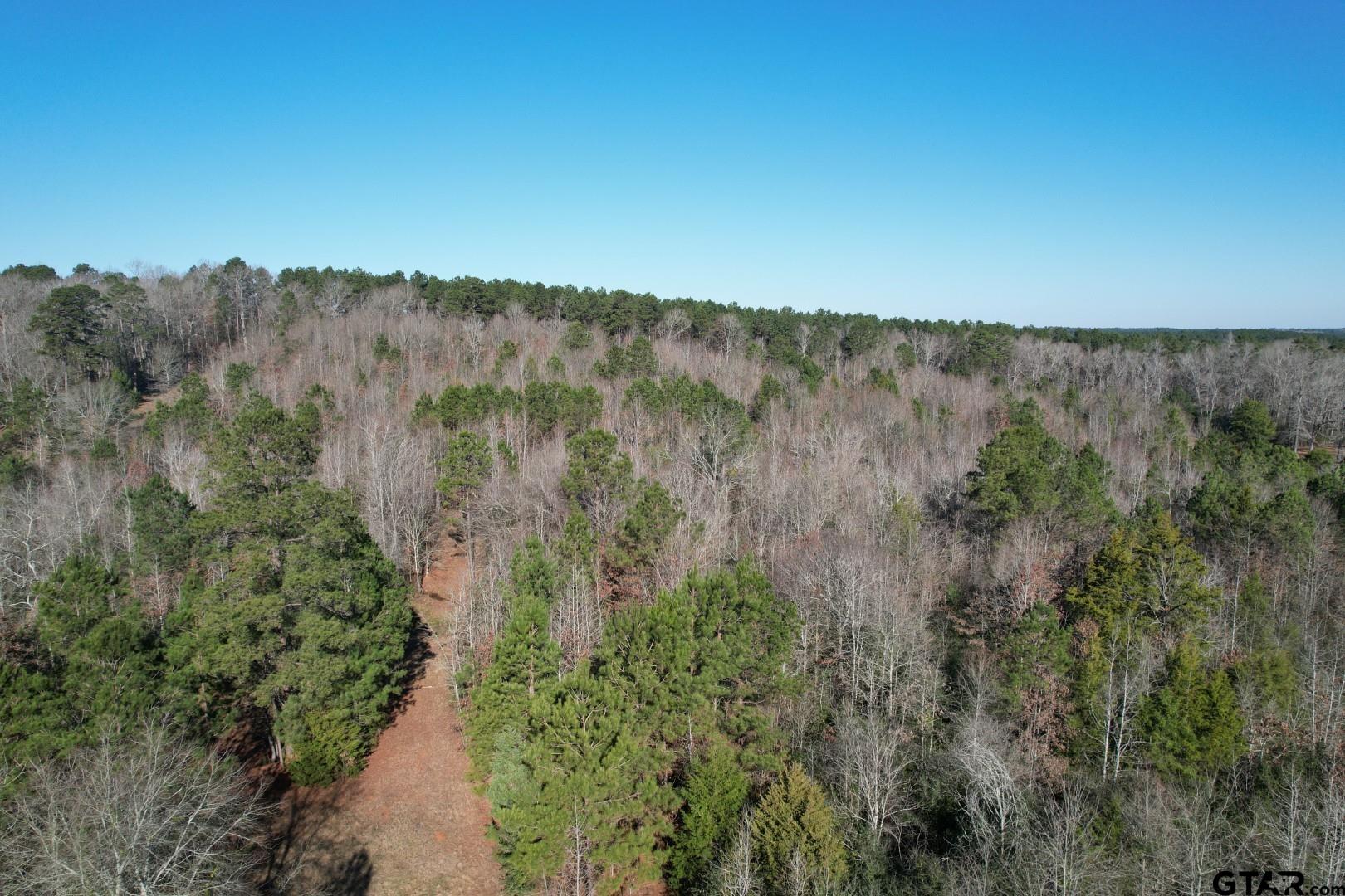 4919 County Road 4919 Timpson, TX 75975 - Photo 7 of 7 a view of a lake with mountain view