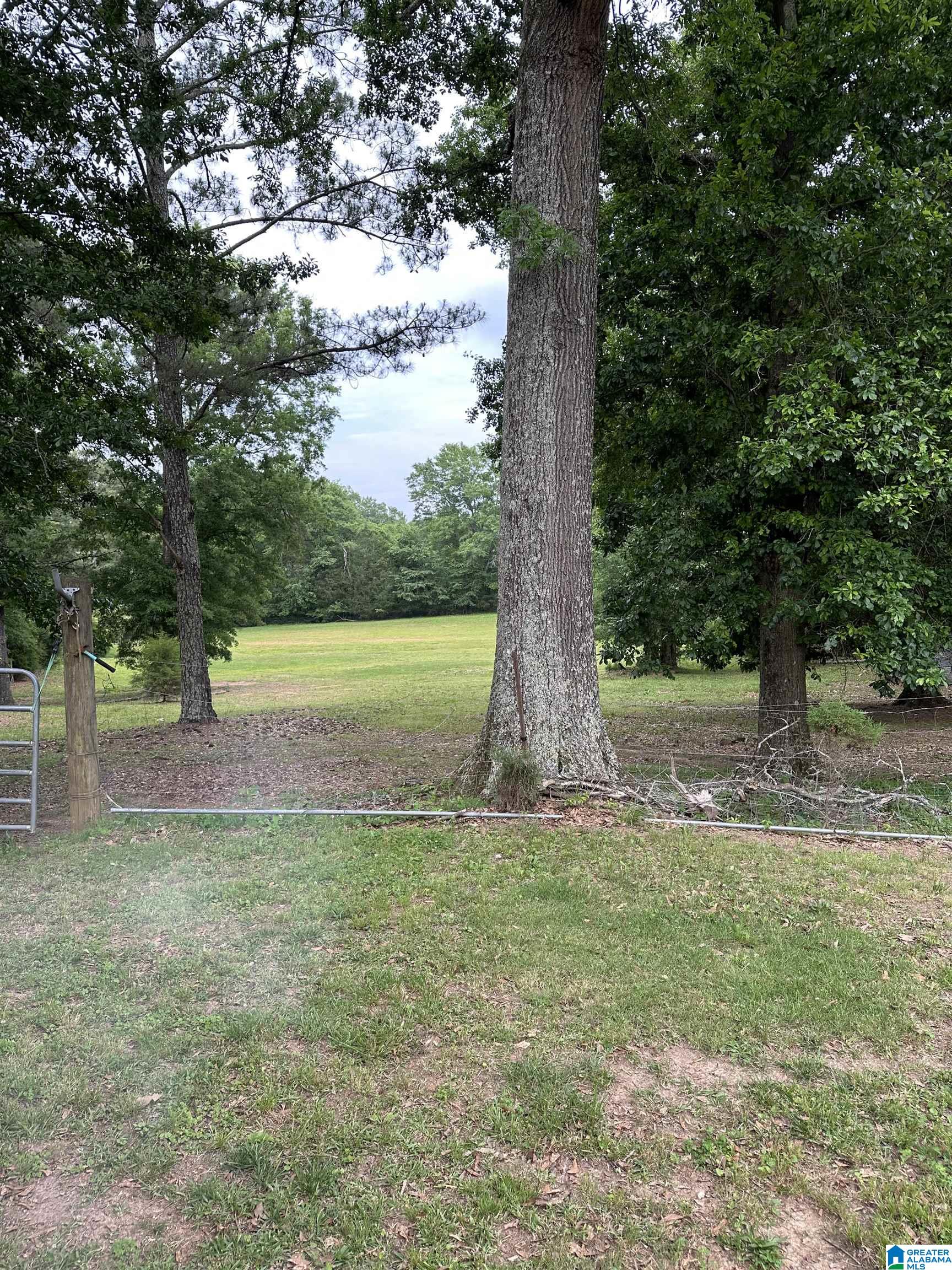 193 Ledbetter Road Munford, AL 36268 - Photo 3 of 16