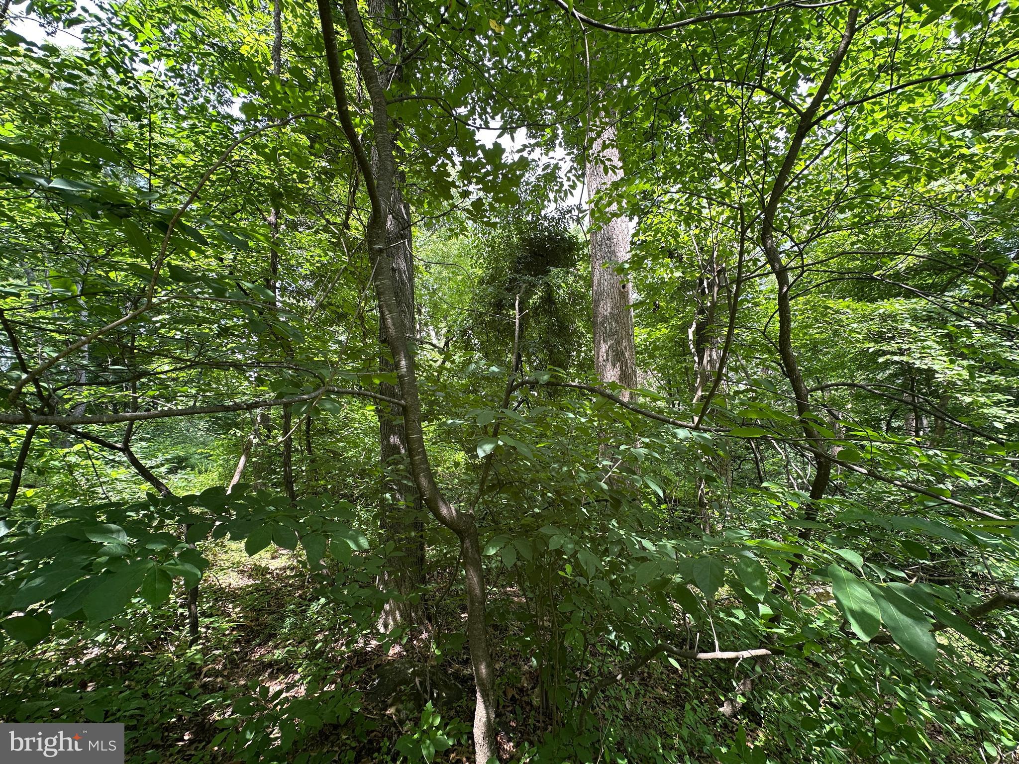 3 52 /- Acres Oak Ridge Trail Fairfield, PA 17320 - Photo 11 of 13