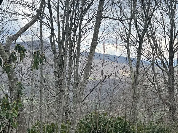 $65,000 | 107 Elk River Parkway, Banner Elk, NC 28604