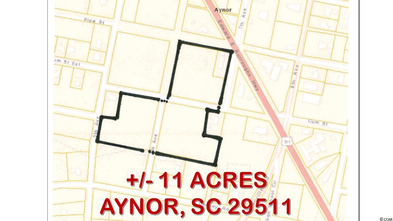 501 Business Aynor Sc