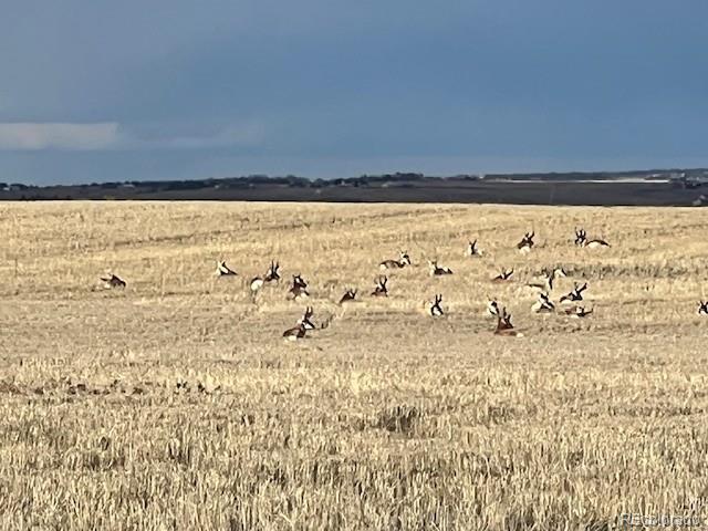 North Blaney Road Peyton, CO 80831 - Photo 5 of 21