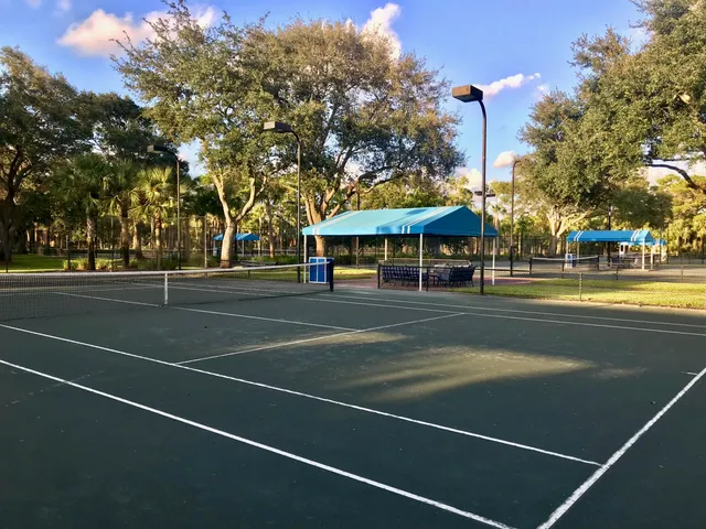 a view of a park with large trees