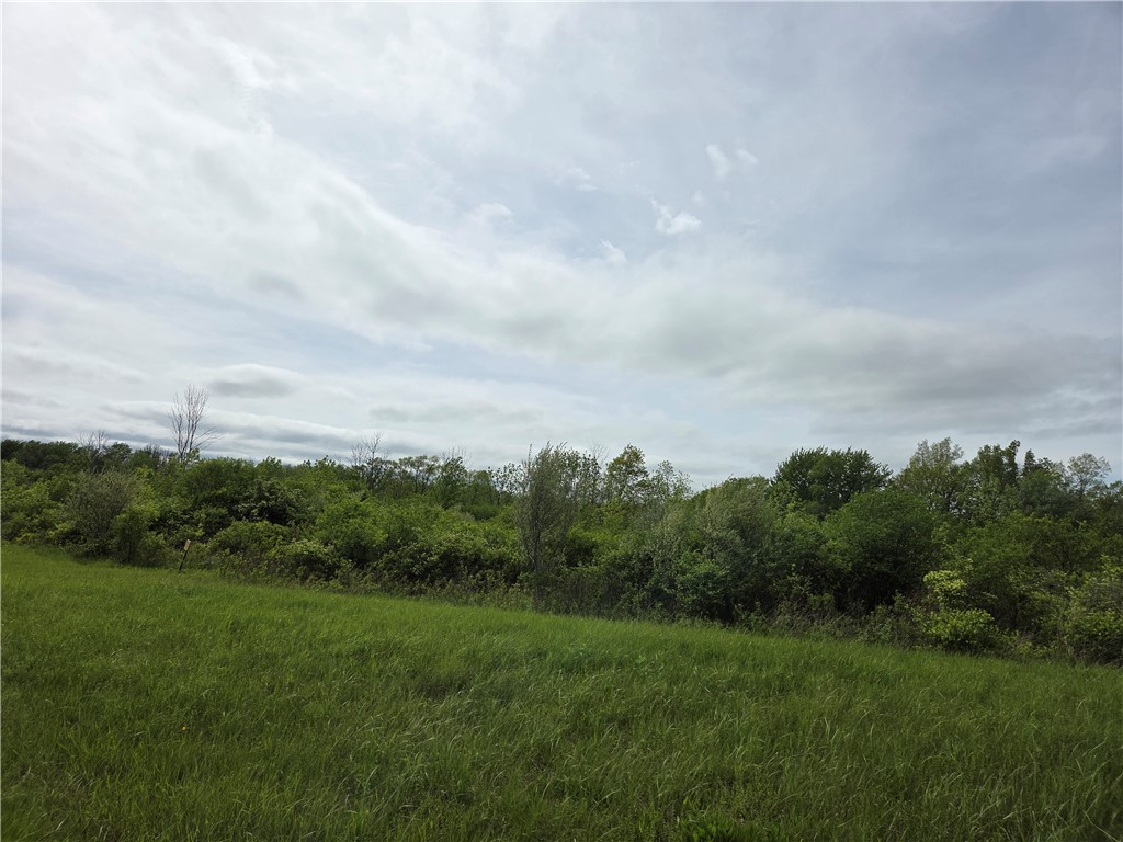 North Road Geneseo, NY 14454 - Photo 3 of 3