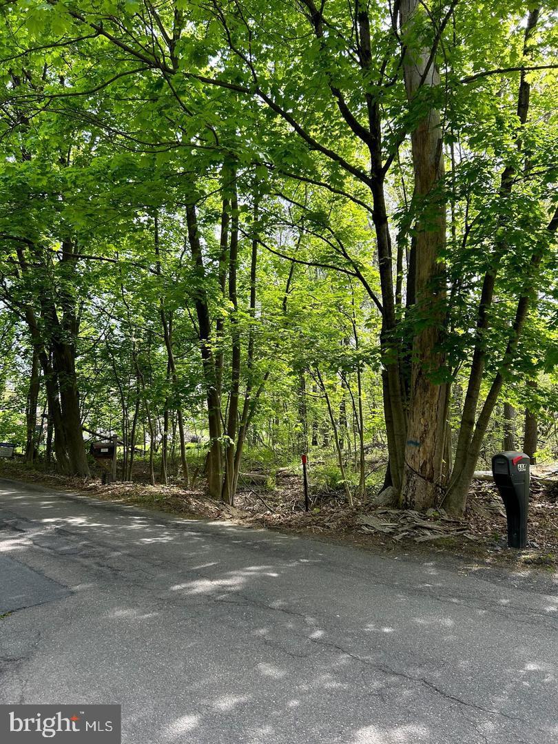 0 State Road Barnesville, PA 18214 - Photo 1 of 1 Gallery Image 1