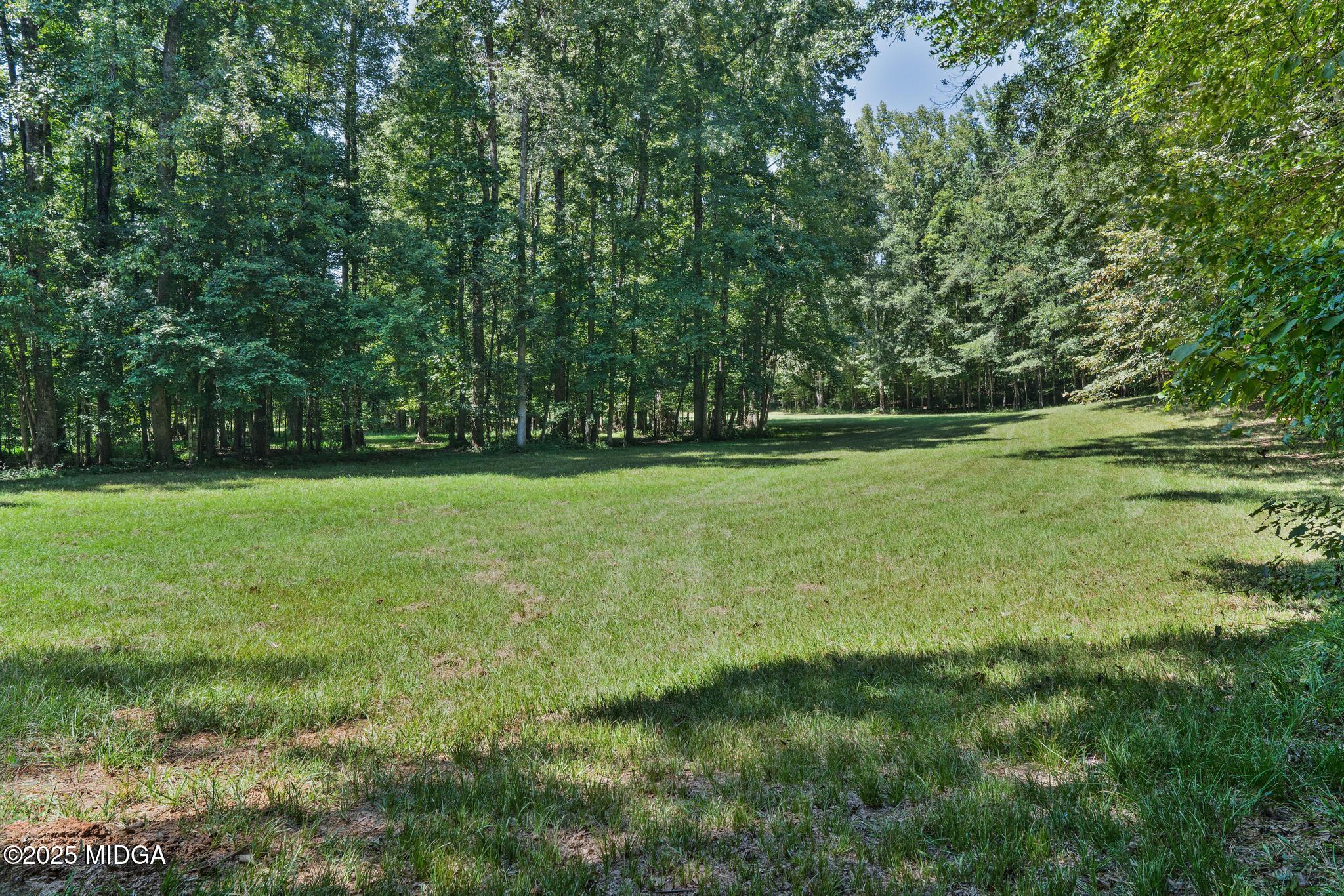 369 Abares Road Forsyth, GA 31029 - Photo 46 of 55 DSC09871