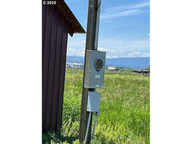 a view of a big yard with a large tree