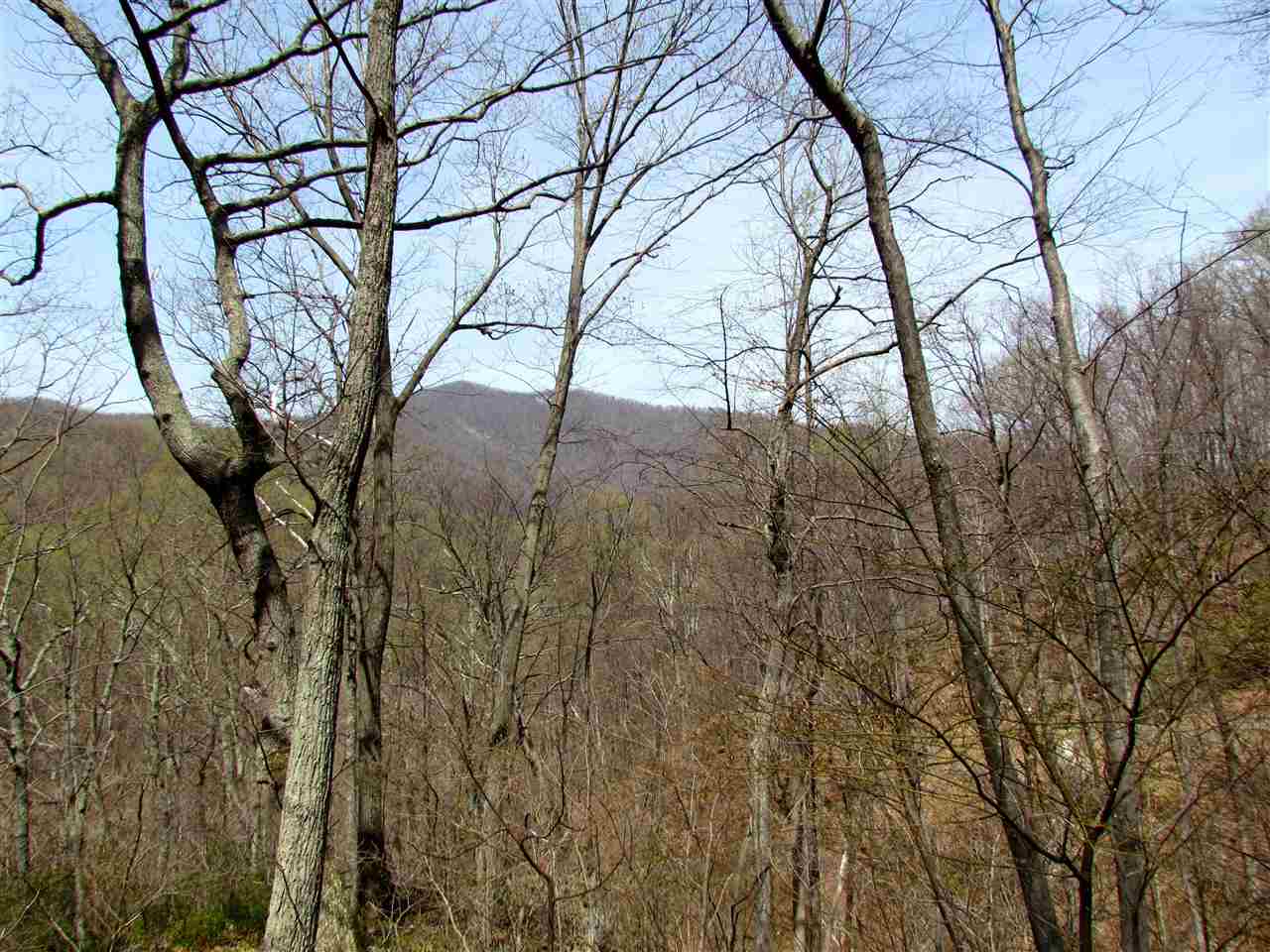 2049 Quaker Run Road Madison, VA 22727 - Photo 11 of 47 Gallery Image 11