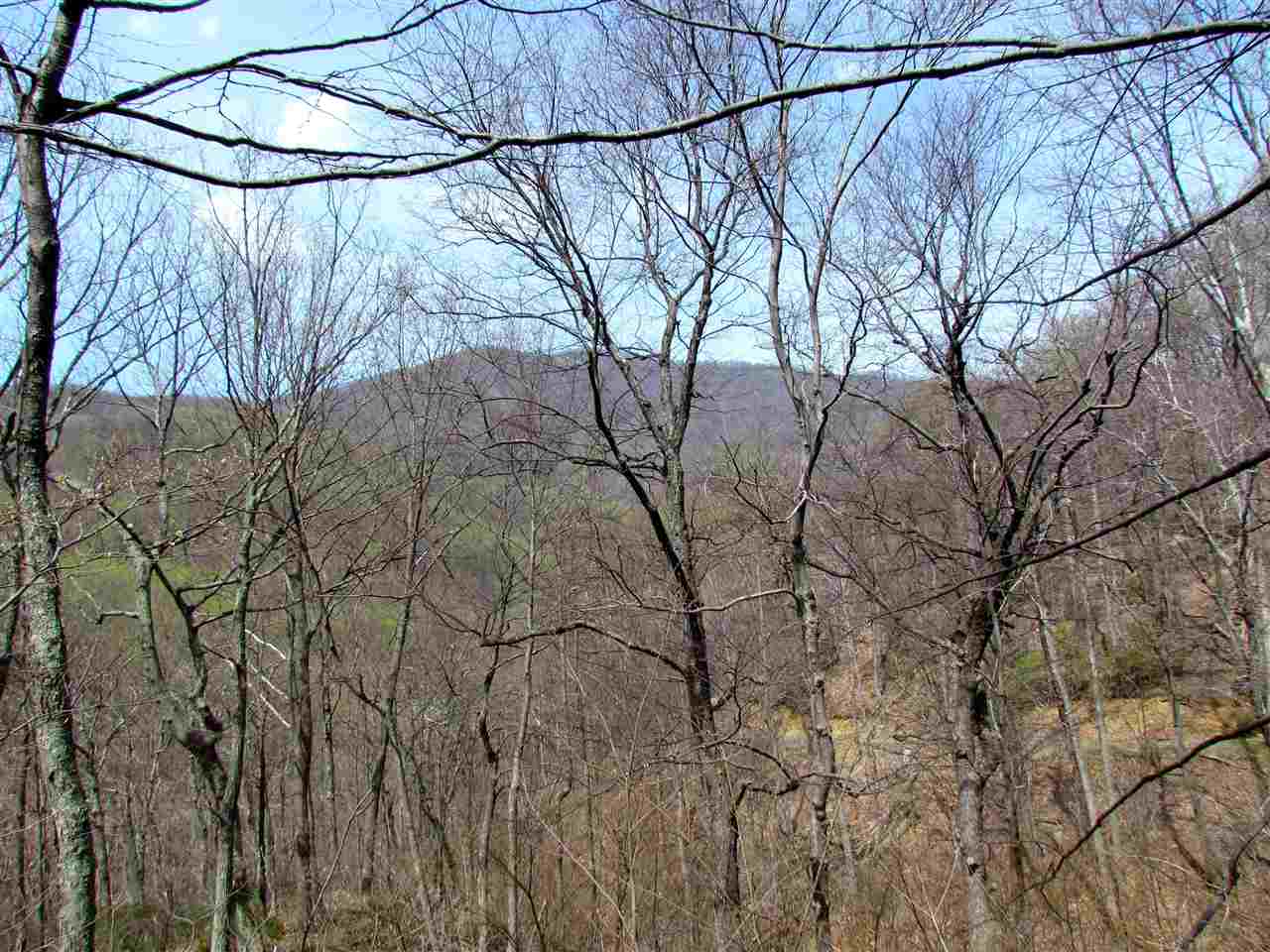 2049 Quaker Run Road Madison, VA 22727 - Photo 34 of 47 Gallery Image 34