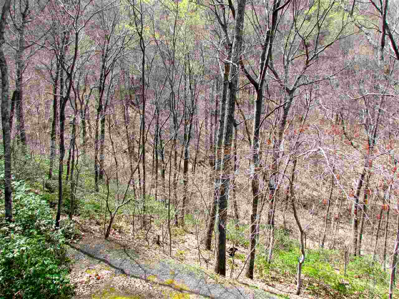 2049 Quaker Run Road Madison, VA 22727 - Photo 37 of 47 Gallery Image 37