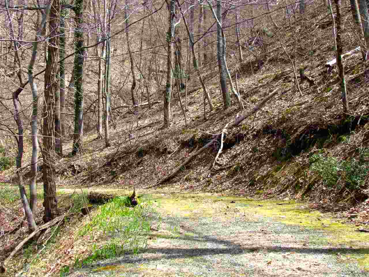 2049 Quaker Run Road Madison, VA 22727 - Photo 44 of 47 Gallery Image 44
