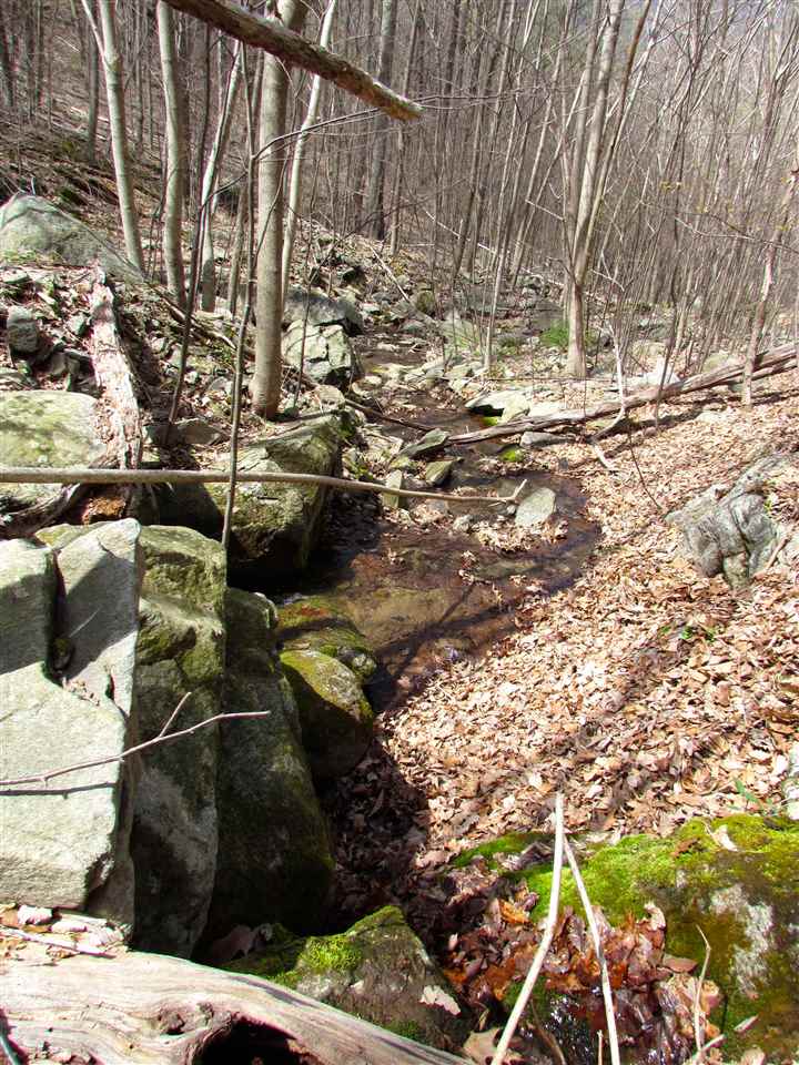 2049 Quaker Run Road Madison, VA 22727 - Photo 46 of 47 Gallery Image 46