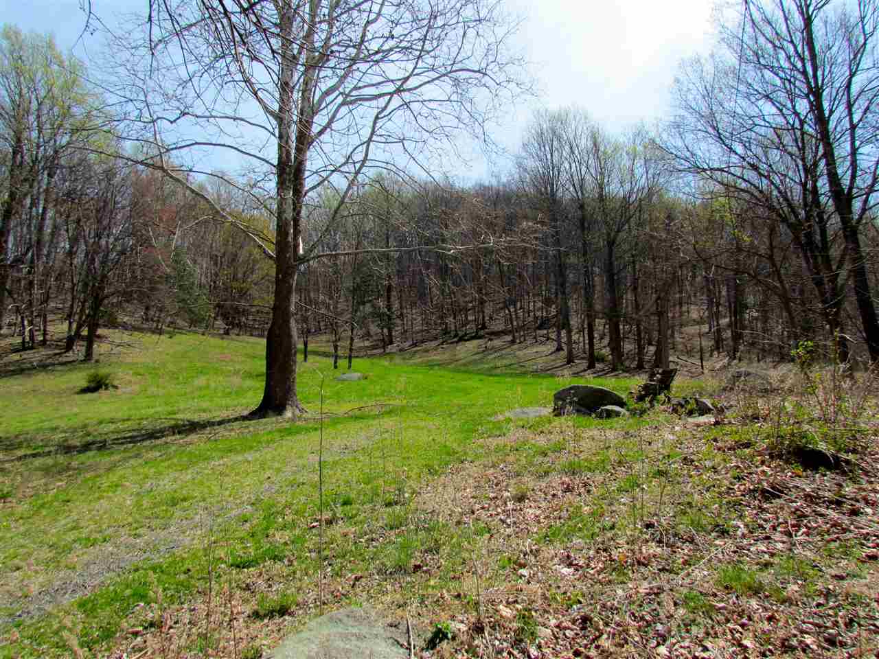 2049 Quaker Run Road Madison, VA 22727 - Photo 5 of 47 Gallery Image 5