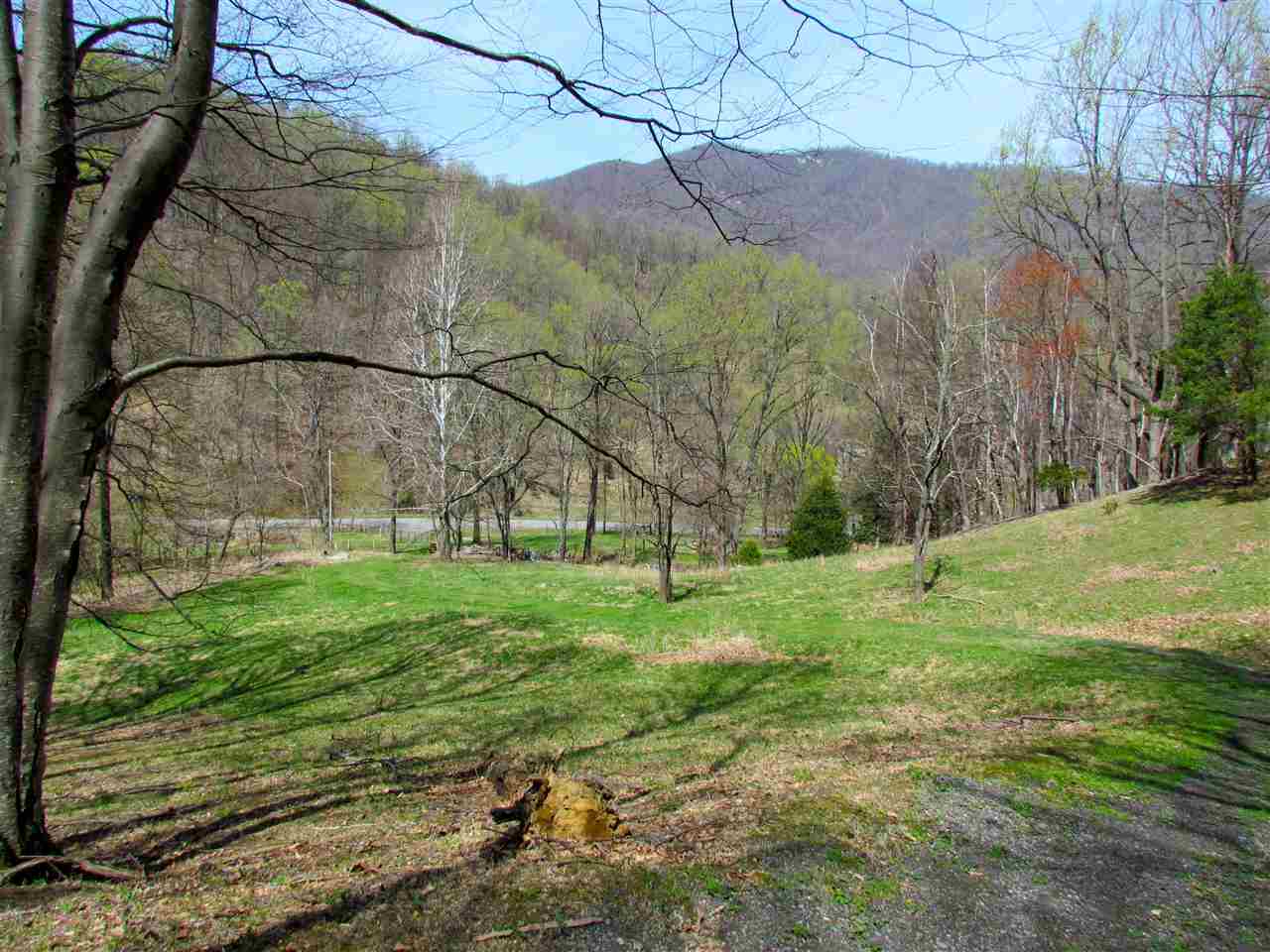2049 Quaker Run Road Madison, VA 22727 - Photo 6 of 47 Gallery Image 6