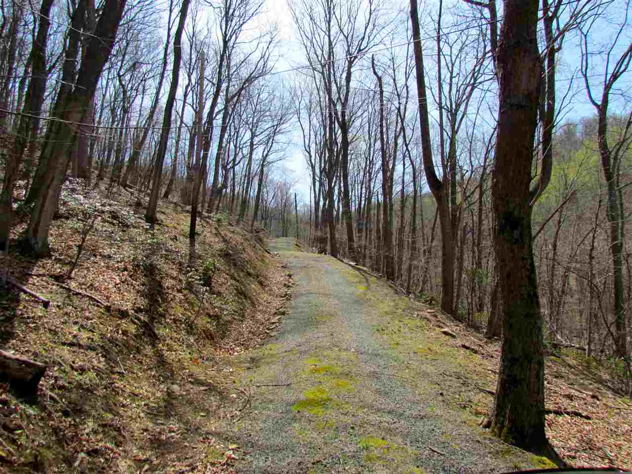 2049 Quaker Run Road Madison, VA 22727 - Photo 7 of 47 Gallery Image 7