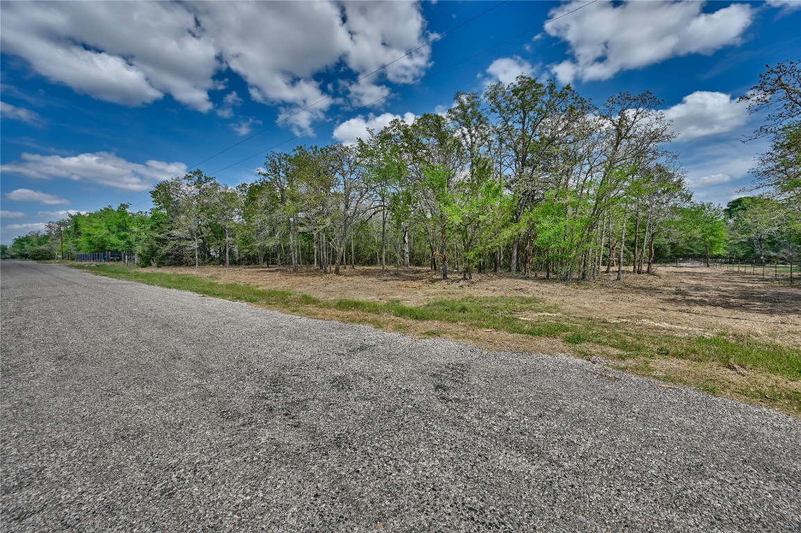 a view of a field with trees in background