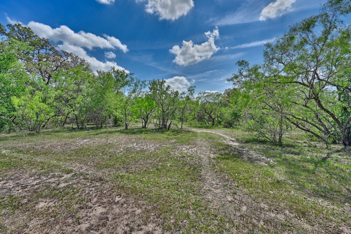 Tbd Hollow Bend Road Caldwell, TX 77836 - Photo 11 of 21 a view of outdoor space and yard
