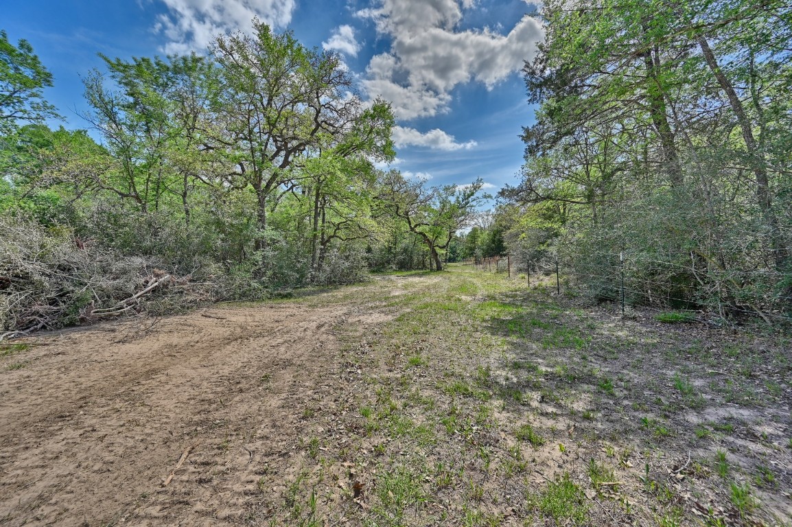Tbd Hollow Bend Road Caldwell, TX 77836 - Photo 12 of 21 a view of a forest with trees in the background