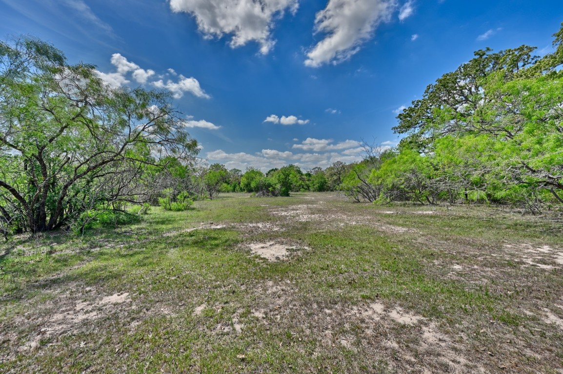 Tbd Hollow Bend Road Caldwell, TX 77836 - Photo 16 of 21 a view of outdoor space and yard