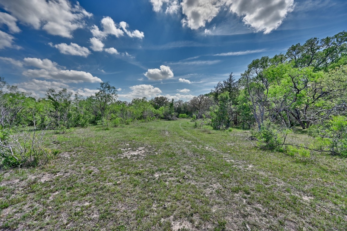 Tbd Hollow Bend Road Caldwell, TX 77836 - Photo 17 of 21 a view of a big yard with lots of green space