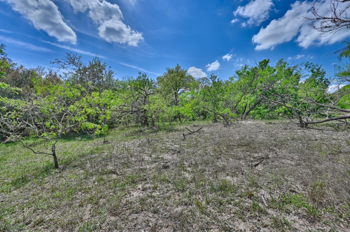 Tbd Hollow Bend Road Caldwell, TX 77836 - Photo 18 of 21 a view of a big yard with lots of green space