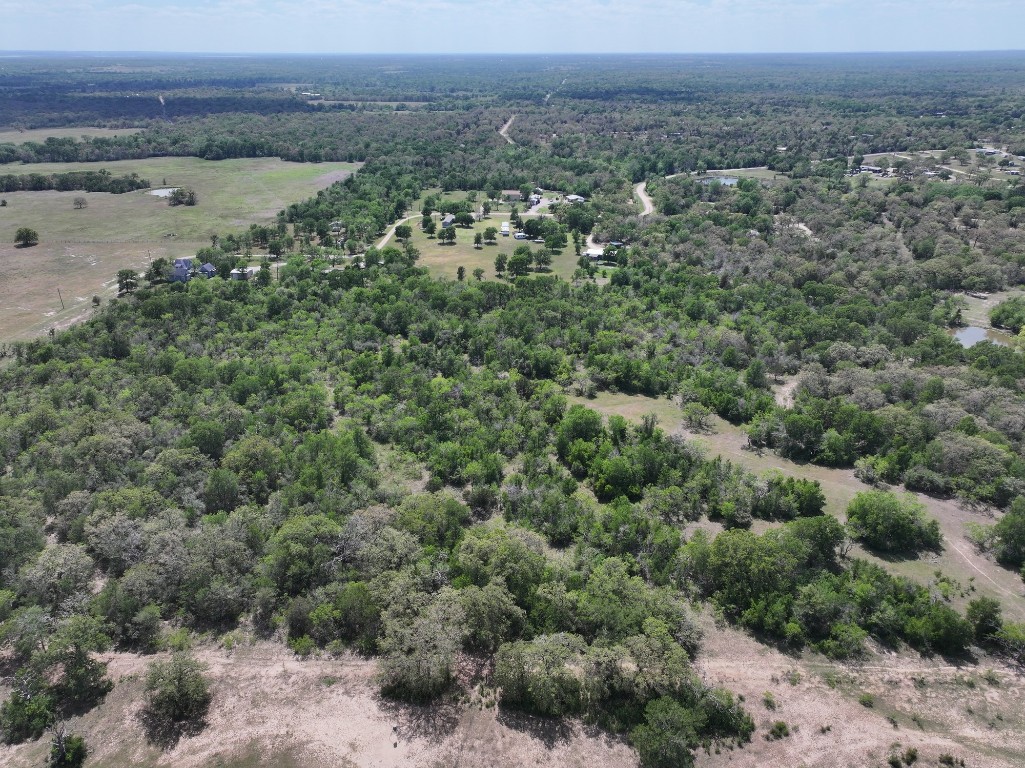 Tbd Hollow Bend Road Caldwell, TX 77836 - Photo 19 of 21 a view of a city with lots of trees