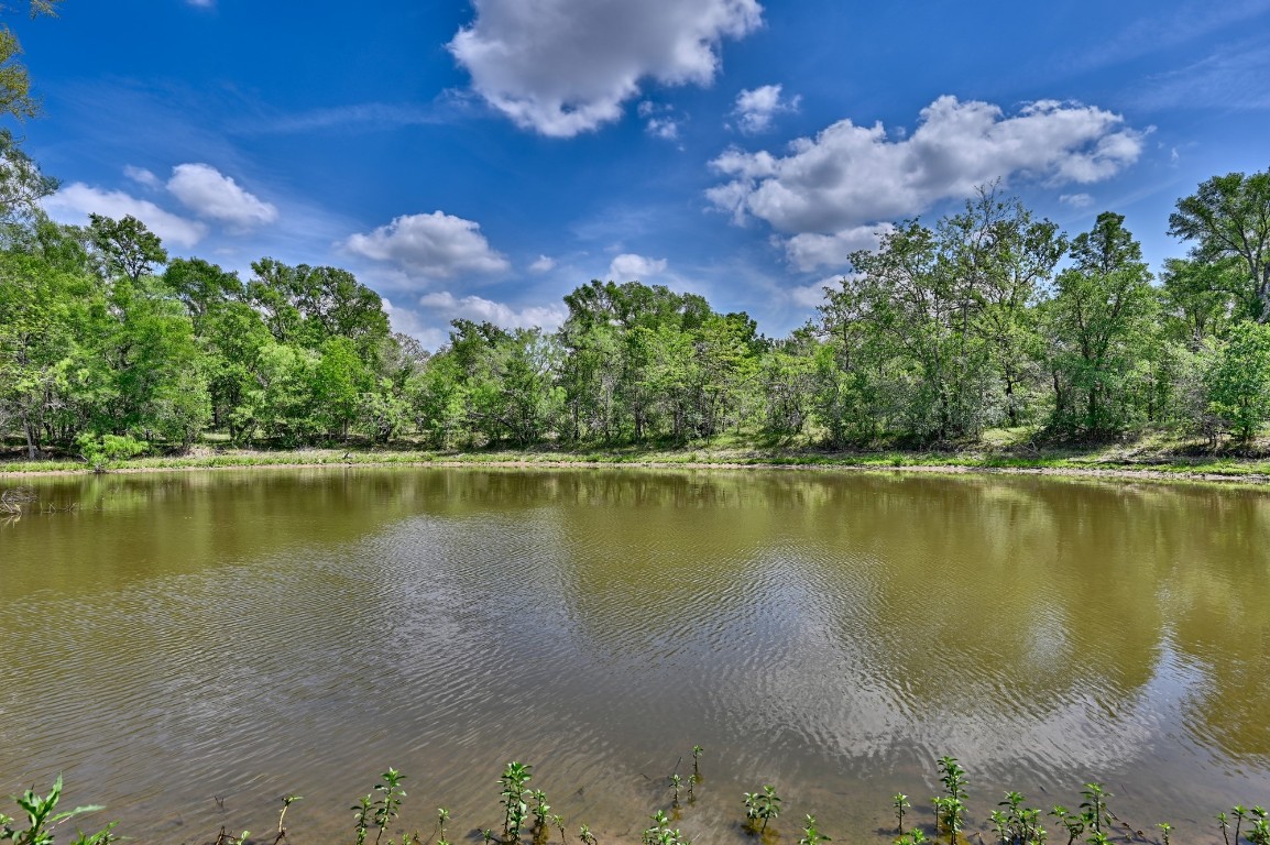 Tbd Hollow Bend Road Caldwell, TX 77836 - Photo 3 of 21 a view of a lake with a building in the background