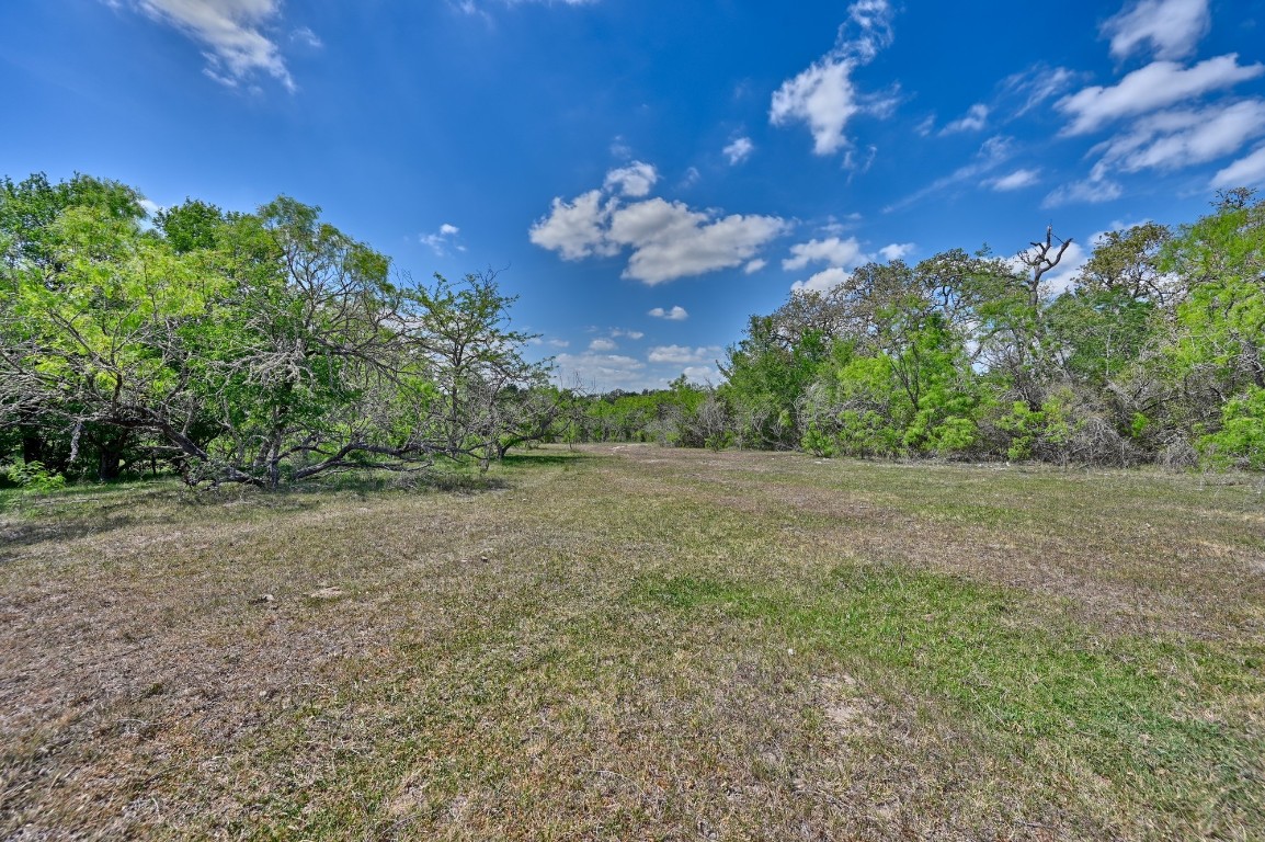 Tbd Hollow Bend Road Caldwell, TX 77836 - Photo 4 of 21 a view of a yard with an tree