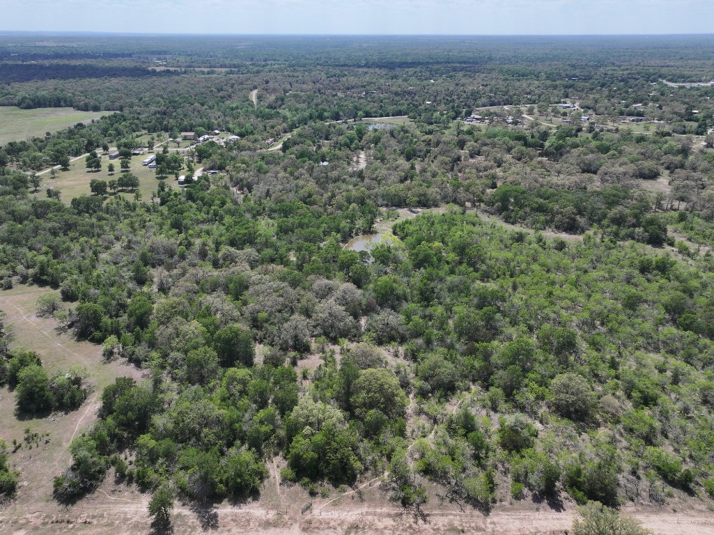 Tbd Hollow Bend Road Caldwell, TX 77836 - Photo 5 of 21 an aerial view of multiple house