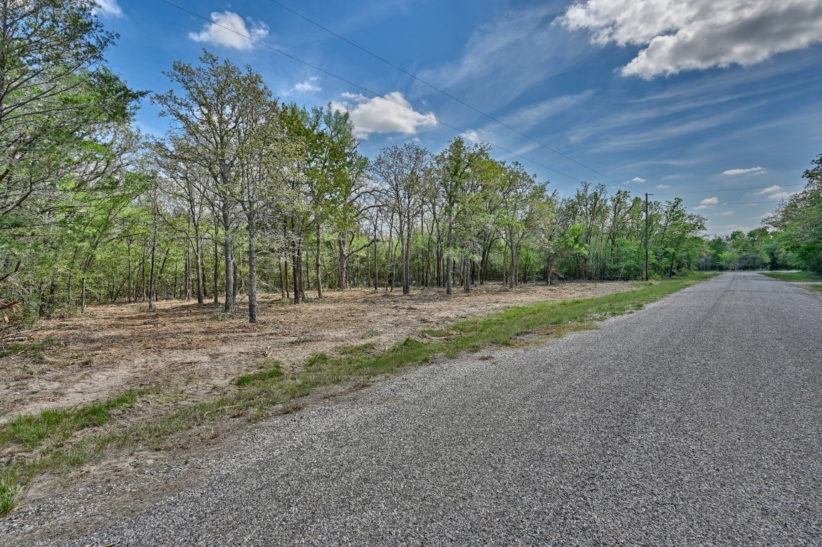 Tbd Hollow Bend Road Caldwell, TX 77836 - Photo 7 of 21 a view of a field with trees in background