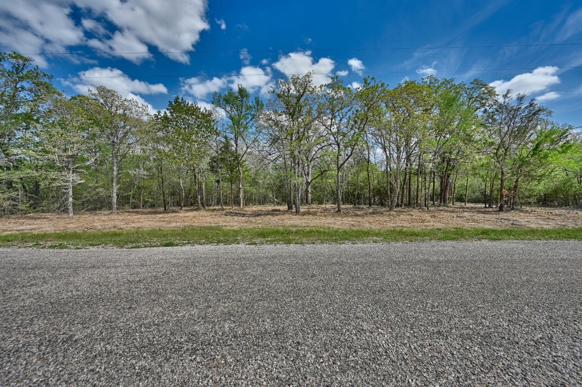 Tbd Hollow Bend Road Caldwell, TX 77836 - Photo 8 of 21 a view of a park