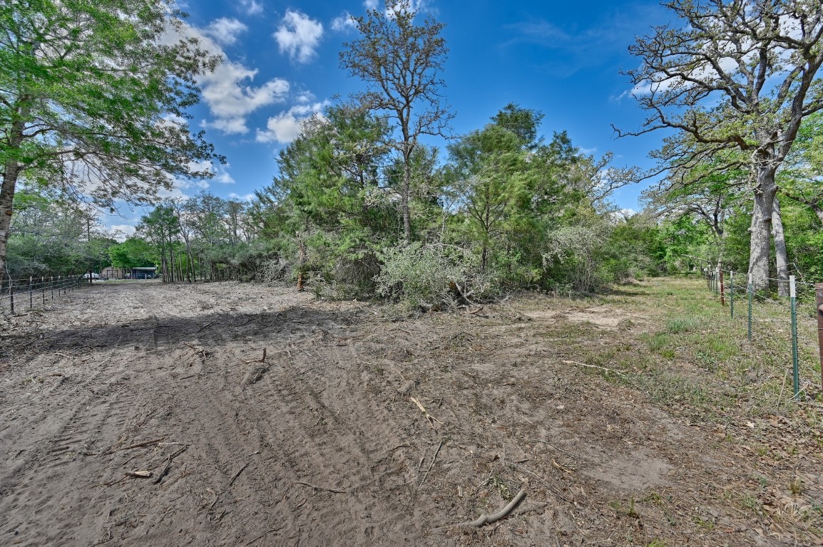 Tbd Hollow Bend Road Caldwell, TX 77836 - Photo 9 of 21 a view of a forest with trees in the background