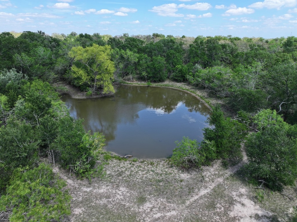 Tbd Hollow Bend Road Caldwell, TX 77836 - Photo 10 of 21 an aerial view of a houses with a lake view