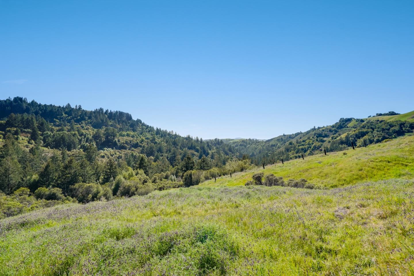00 Rapley Ranch Road Redwood City, CA 94062 - Photo 14 of 33 a view of mountain view with mountains in the background