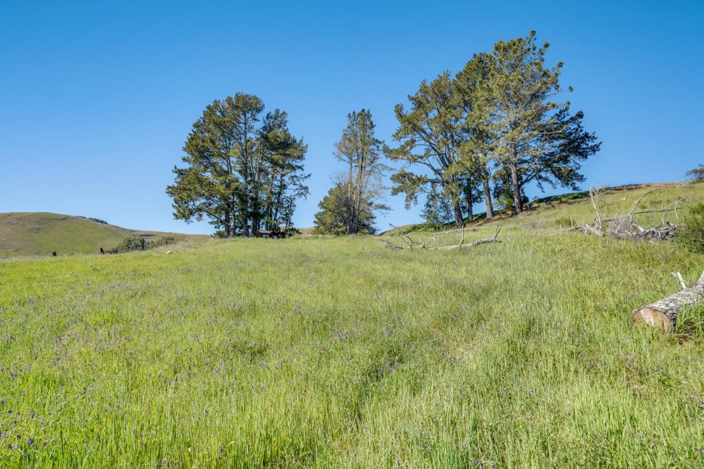 00 Rapley Ranch Road Redwood City, CA 94062 - Photo 15 of 33 a view of a field with an empty space