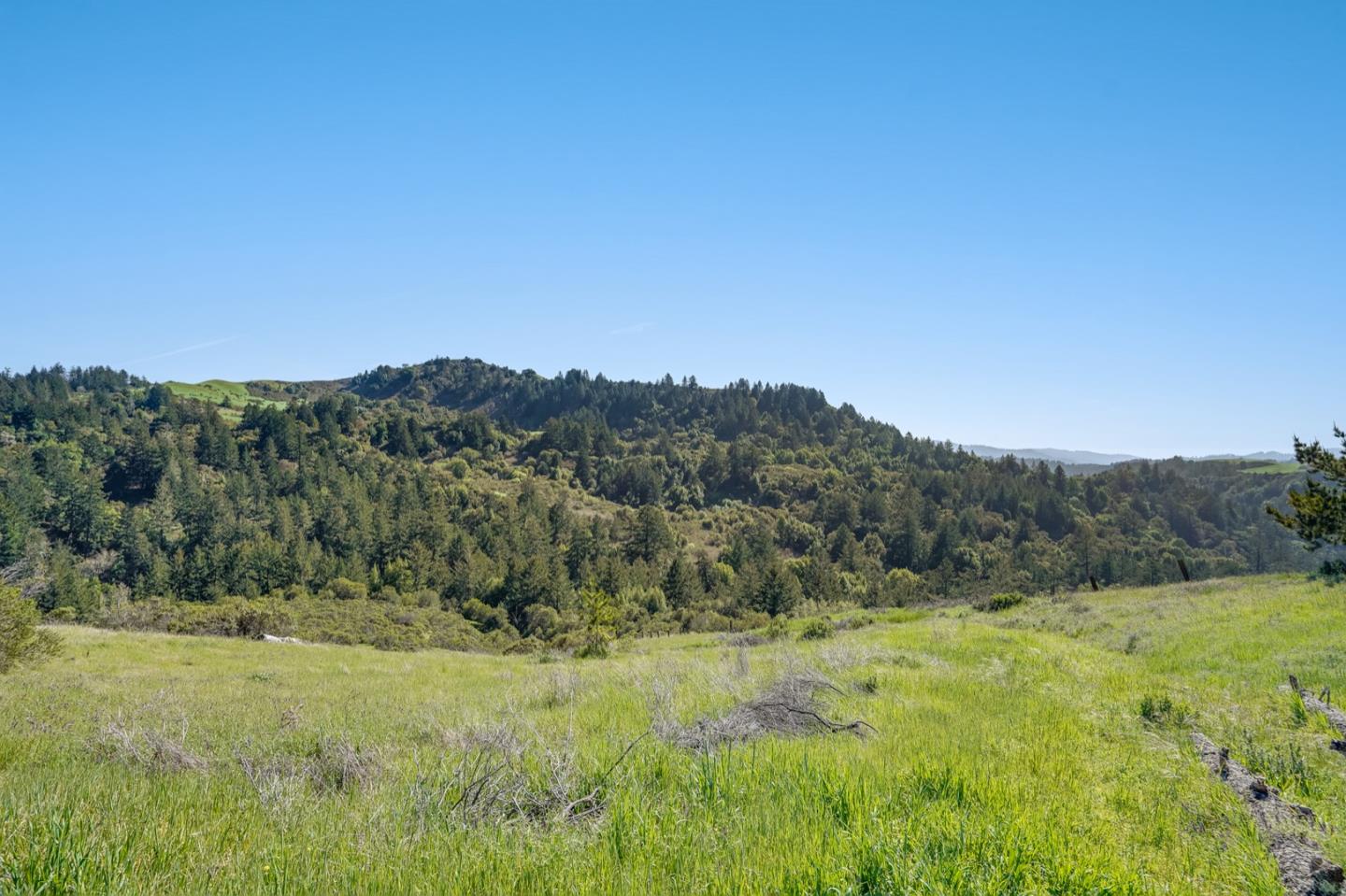 00 Rapley Ranch Road Redwood City, CA 94062 - Photo 16 of 33 a view of a lush green outdoor space with a lake view