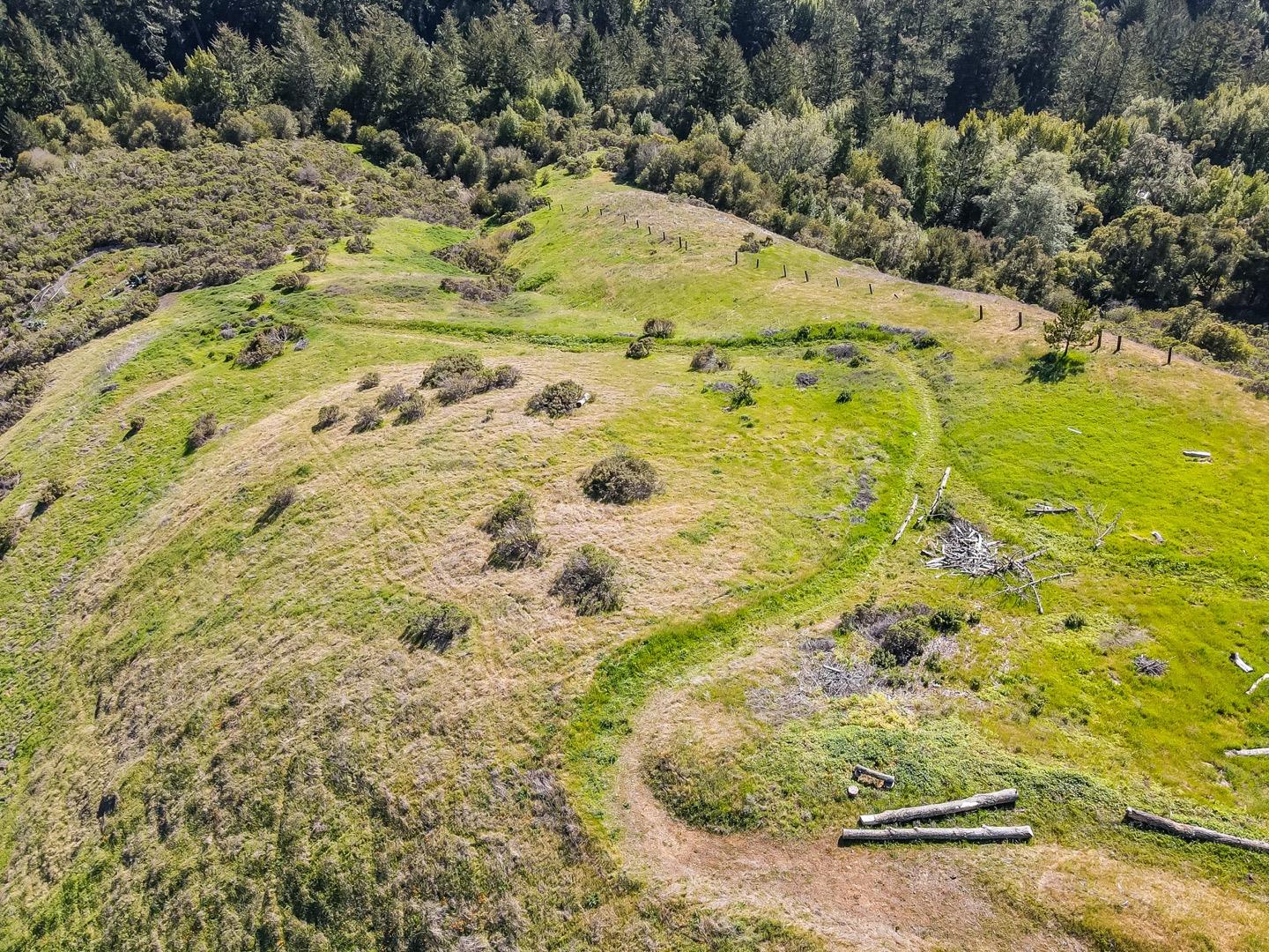 00 Rapley Ranch Road Redwood City, CA 94062 - Photo 17 of 33 a view of a yard