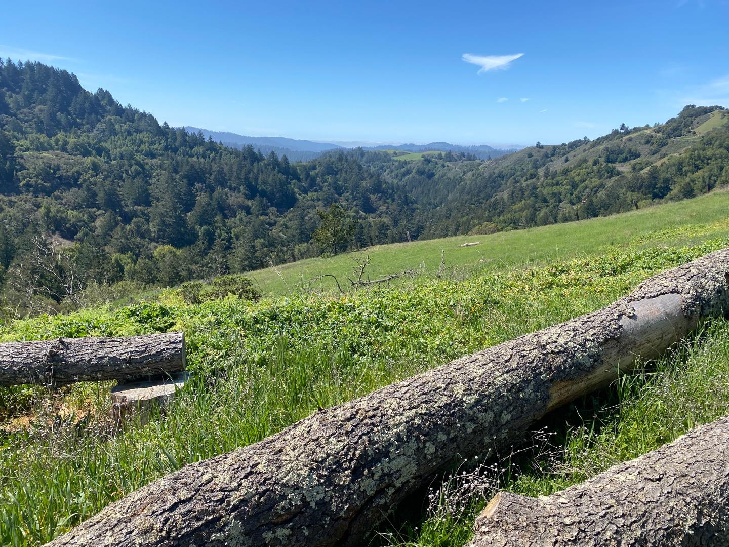00 Rapley Ranch Road Redwood City, CA 94062 - Photo 29 of 33 a view of a lush green forest with a mountain in the background