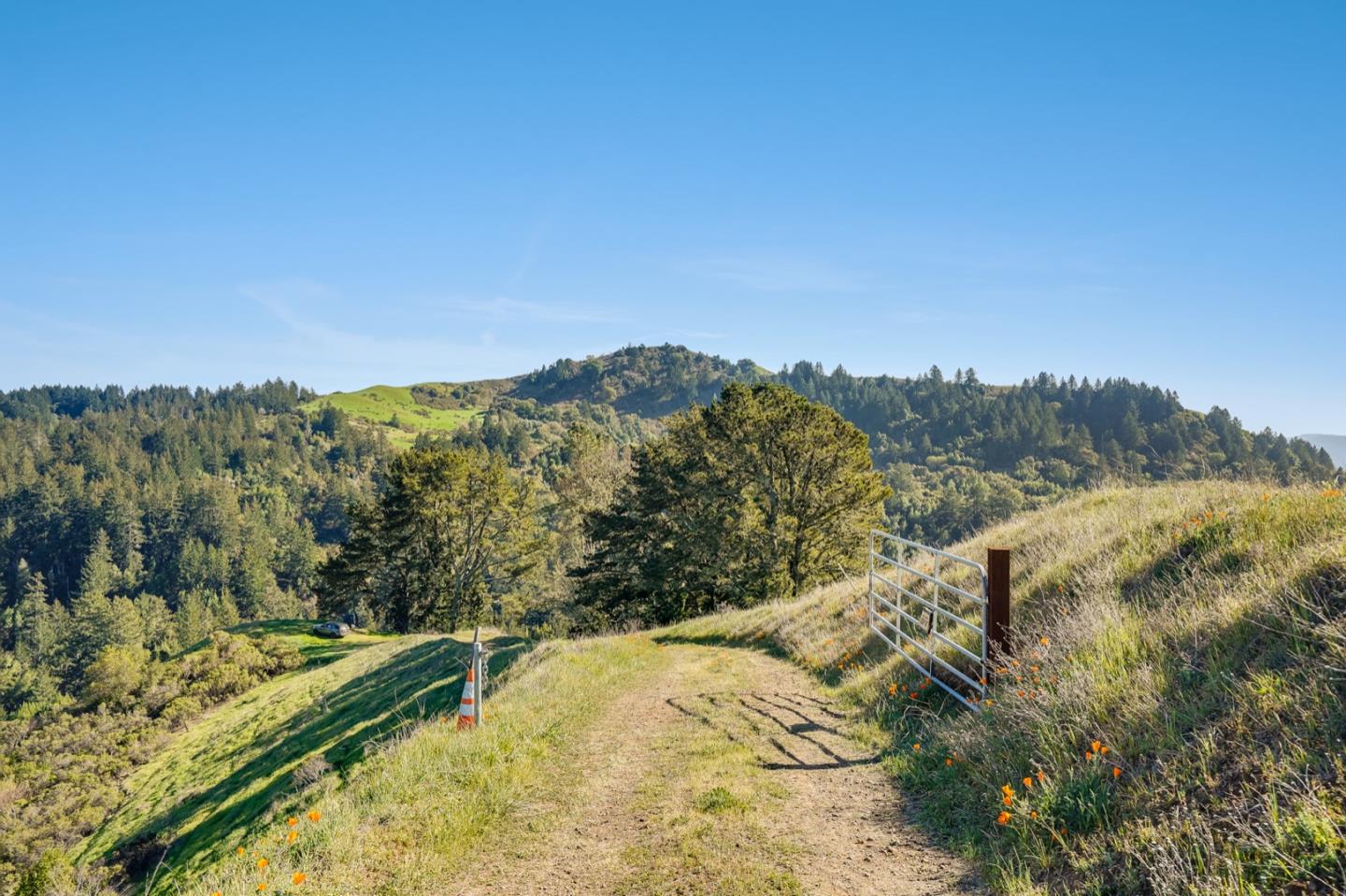 00 Rapley Ranch Road Redwood City, CA 94062 - Photo 30 of 33 a view of a forest with mountains in the background