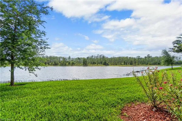 a view of a lake with houses in the back