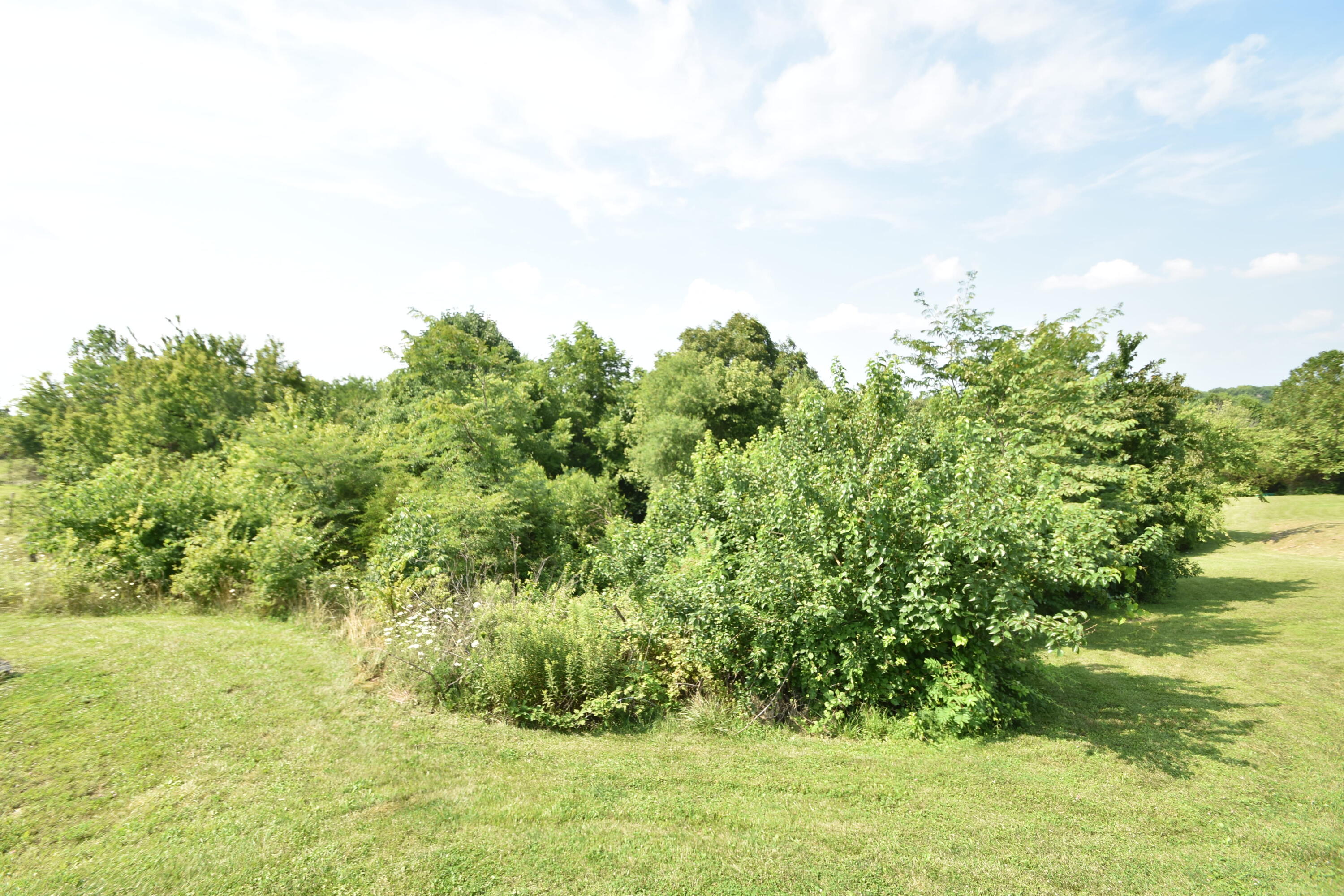 407 Catlett Road Harrodsburg, KY 40330 - Photo 45 of 45 DSC_0234