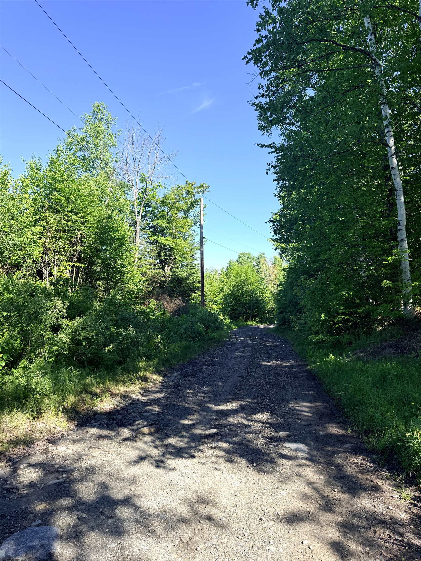 0 Tug Mountain Road Lunenburg, VT 05906 - Photo 13 of 18