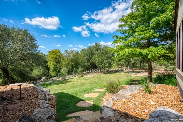 a view of a trees with a yard