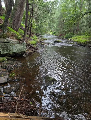 $319,000 | 50 Park Road, Yulan, NY 12792