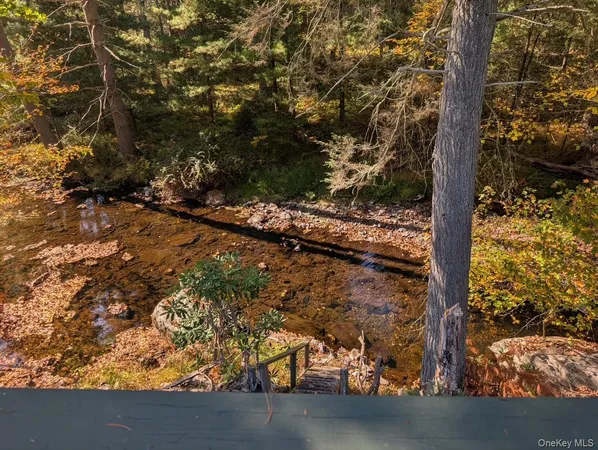 a view of a yard with plants and trees